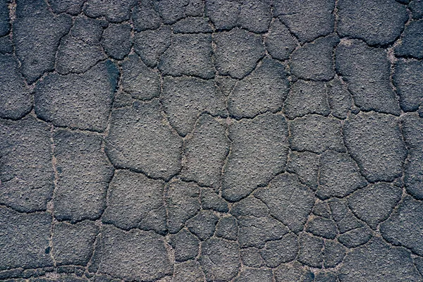 Alligator cracking across an asphalt surface